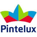 Pintelux